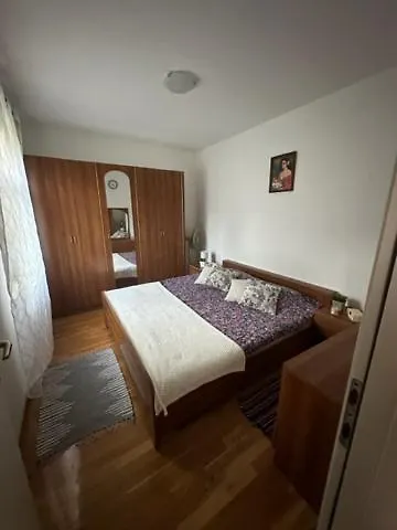 Apartment Apartmani Boric Vantacici