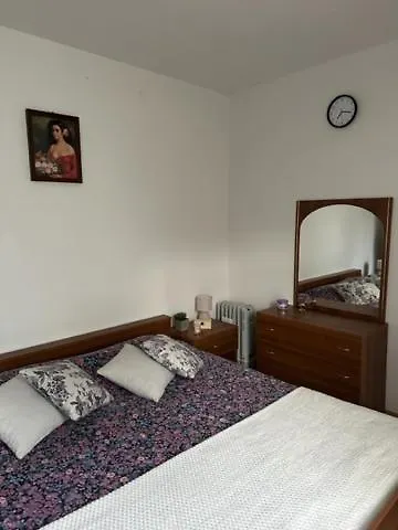 Apartmani Boric Vantacici Croatia