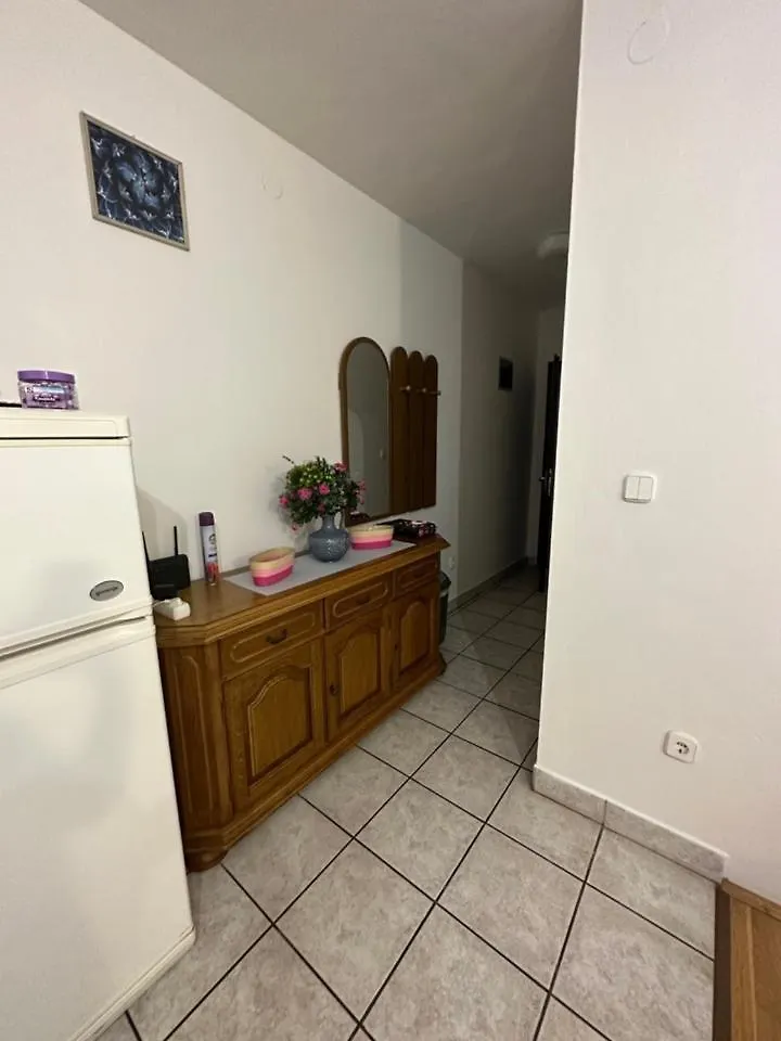 Apartment Apartmani Boric Vantacici