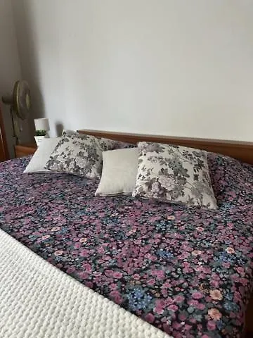 Apartmani Boric Vantacici 0*,  Croatia
