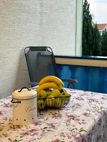 Apartmani Boric Vantacici Apartment