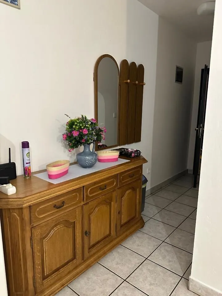 Apartment Apartmani Boric Vantacici