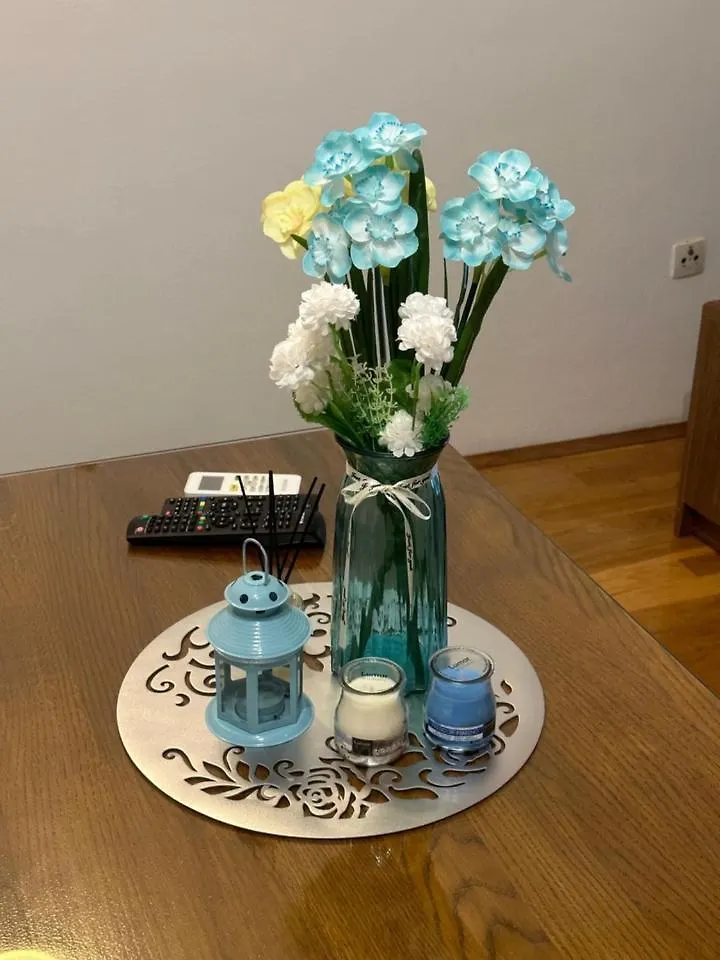Apartmani Boric Vantacici Apartment