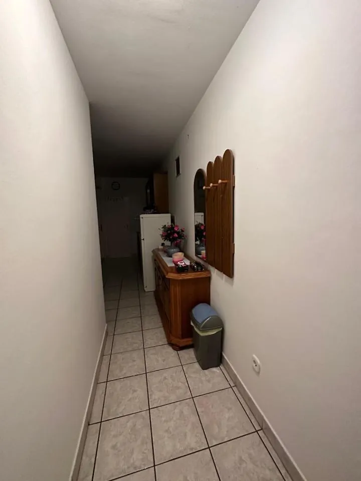 Apartmani Boric Vantacici Apartment